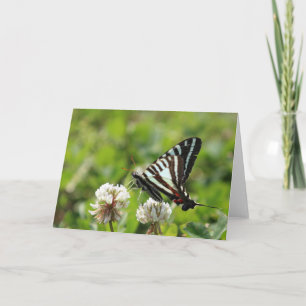 Tarjeta Mariposa de Swallowtail de la cebra
