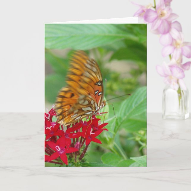 Tarjeta Mariposa del Golfo Férreo en Flor de penta roja (Orquídea)