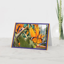 Tarjeta Mariposa del tigre liso