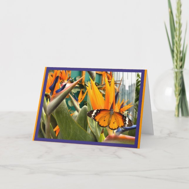 Tarjeta Mariposa del tigre liso (Anverso)