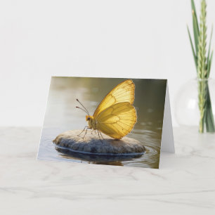 Tarjeta Mariposa Dorada De Cumpleaños Sobre una Roca en Ag