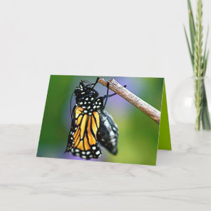Tarjeta Mariposa emergente
