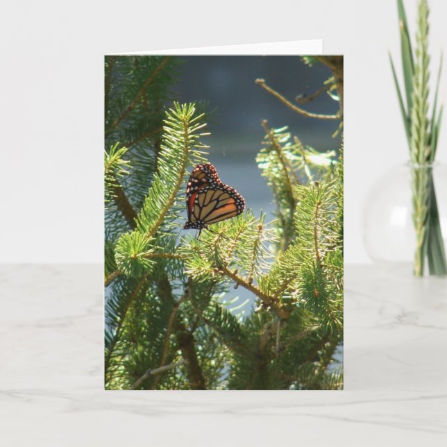 Tarjeta Mariposa en árbol de pino (Anverso)