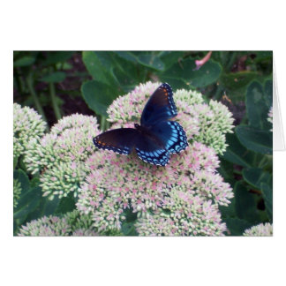 Tarjeta mariposa - en blanco