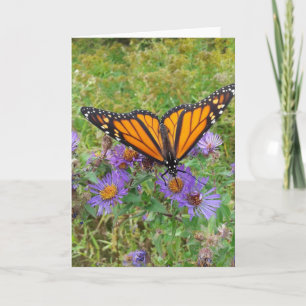 Tarjeta Mariposa en Cornflowers Blank