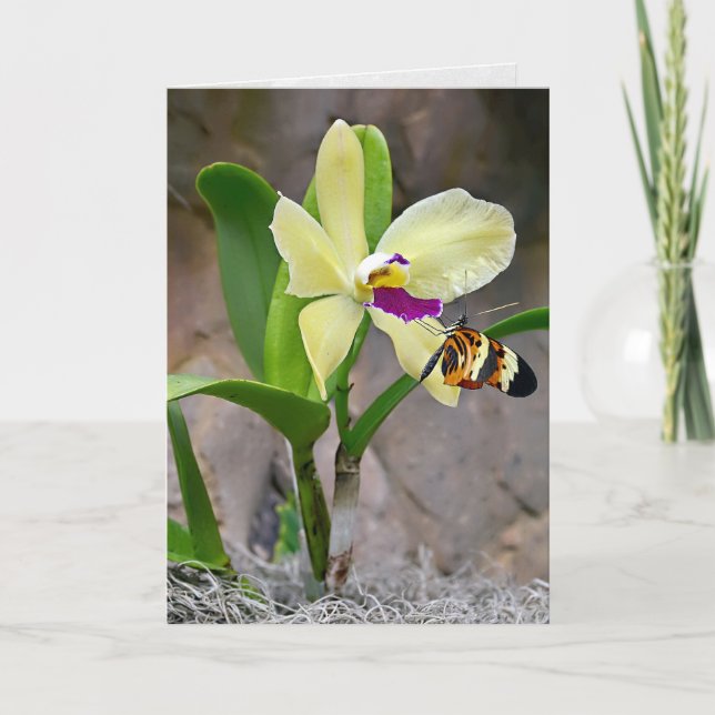 Tarjeta Mariposa En Flor De Orquídea (Anverso)
