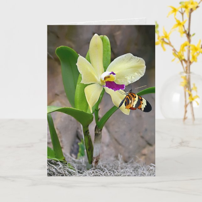 Tarjeta Mariposa En Flor De Orquídea (flor amarilla)