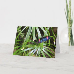 Tarjeta Mariposa en hoja