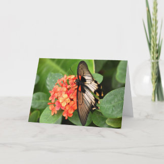 Tarjeta Mariposa en la flor