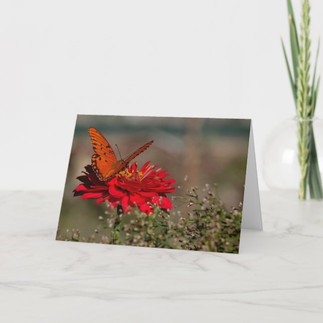 Tarjeta Mariposa en la flor (Anverso)