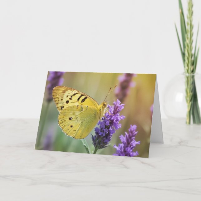 Tarjeta Mariposa en Lavender (Anverso)