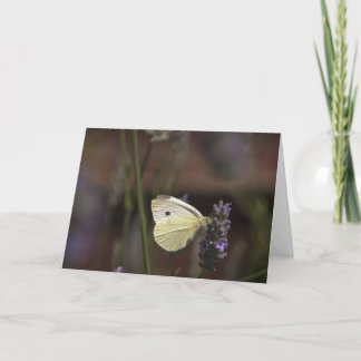 Tarjeta Mariposa en Lavender
