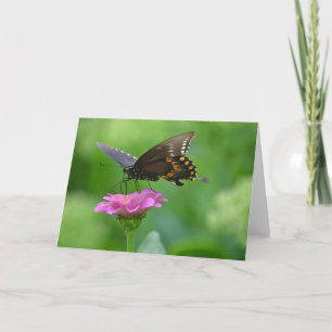 Tarjeta Mariposa En Notecard De Flor