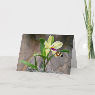 Tarjeta mariposa en orquídea