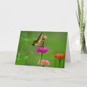 Tarjeta Mariposa En Zinnia Notecard