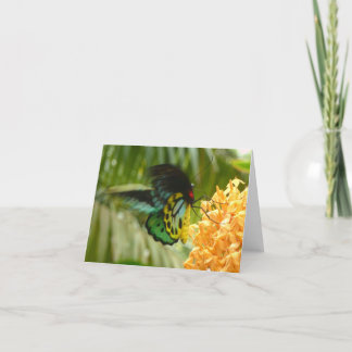 Tarjeta Mariposa encantadora