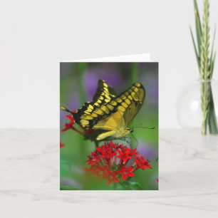 Tarjeta Mariposa floral