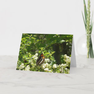 Tarjeta Mariposa Hermana de California en Yosemite