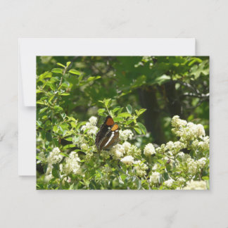 Tarjeta Mariposa Hermana de California en Yosemite