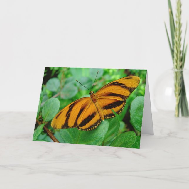 Tarjeta Mariposa hermosa (Anverso)