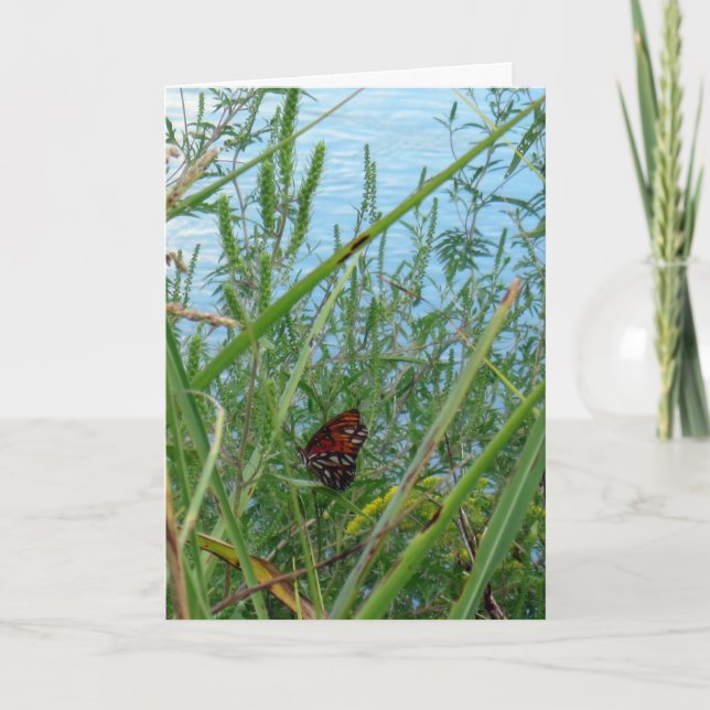 Tarjeta Mariposa junto al río (Anverso)
