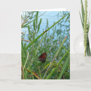 Tarjeta Mariposa junto al río