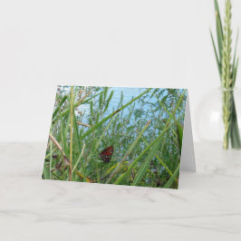 Tarjeta Mariposa junto al río