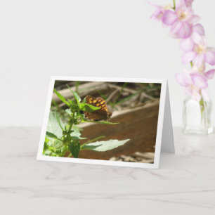 Tarjeta Mariposa Maculada, Pararge Aegeria