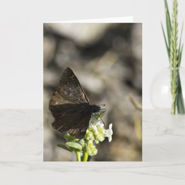 Tarjeta Mariposa marrón (Anverso)