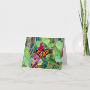 Tarjeta Mariposa monarca