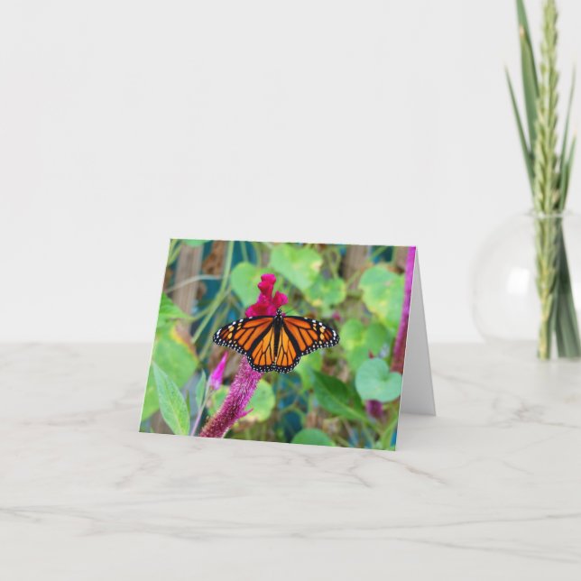 Tarjeta Mariposa monarca (Anverso)