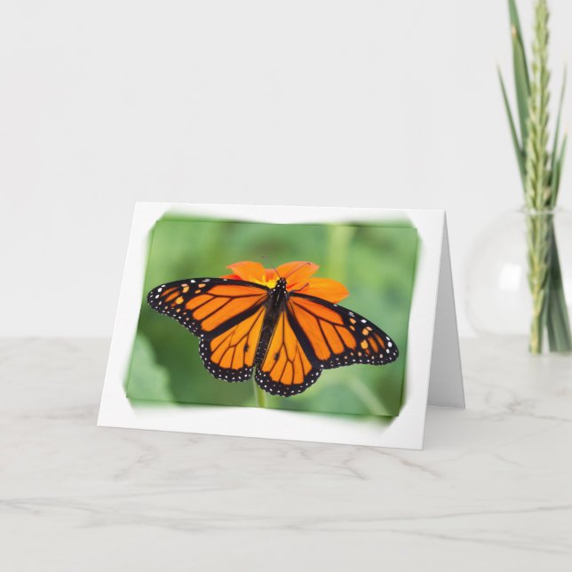 Tarjeta Mariposa monarca (Anverso)