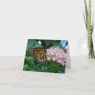 Tarjeta Mariposa monarca
