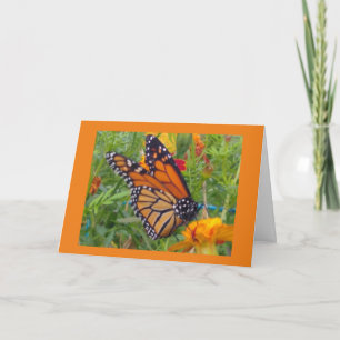 Tarjeta Mariposa monarca