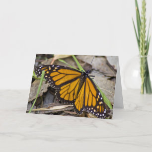 Tarjeta Mariposa monarca
