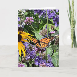 Tarjeta Mariposa Monarca