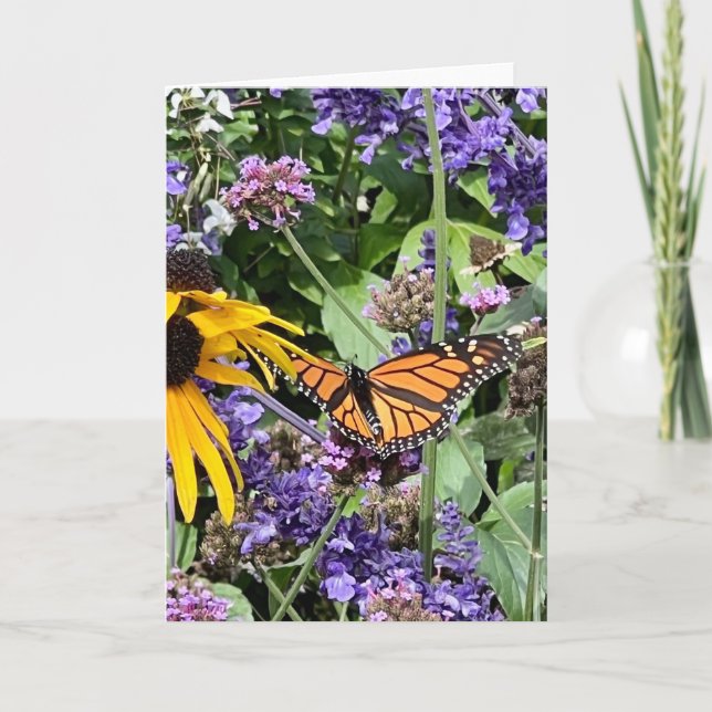 Tarjeta Mariposa Monarca (Anverso)
