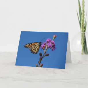 Tarjeta Mariposa monarca