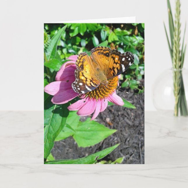 Tarjeta Mariposa Monarca en Flor de Echinacea (Anverso)