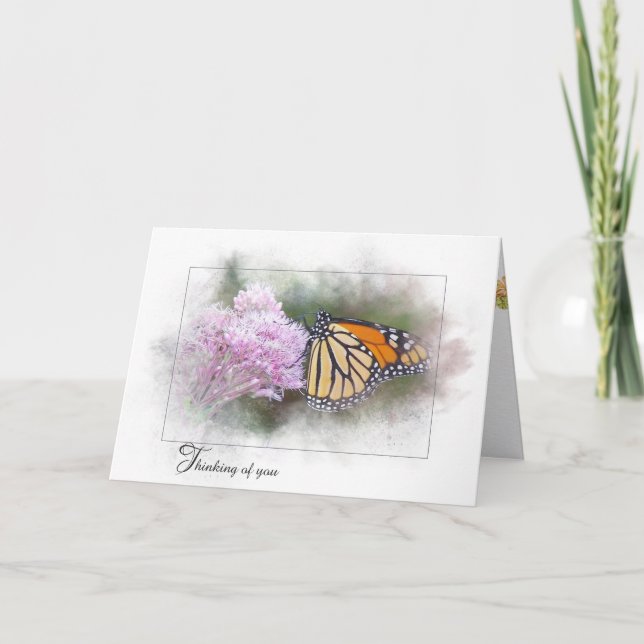 Tarjeta Mariposa monarca en Milkweed (Anverso)