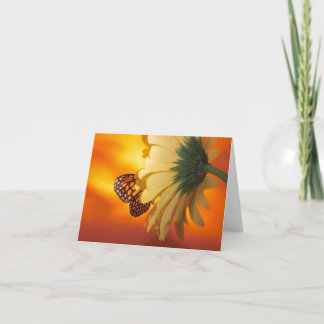 Tarjeta Mariposa monarca en una carta en blanco