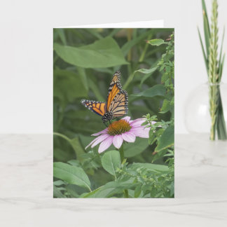 Tarjeta Mariposa Monarca en una Flor de Cono Morada, NYC -