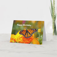 Mariposa monarca Naranja Marigold Foto Cumpleaños