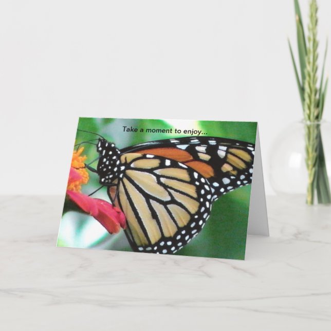 Tarjeta Mariposa monarca para carta de cumpleaños de los a (Anverso)