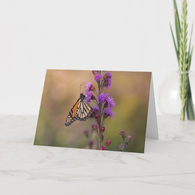 Tarjeta Mariposa monarca sobre liatris (Anverso)
