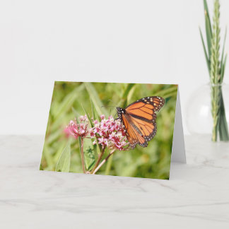 Tarjeta Mariposa monarca y amigo