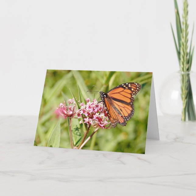 Tarjeta Mariposa monarca y amigo (Anverso)