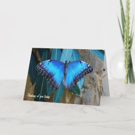Tarjeta Mariposa morfo azul pensando en ti