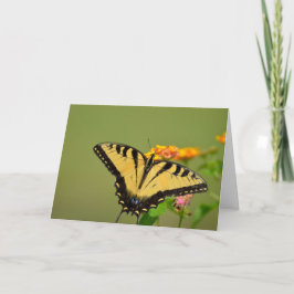 Tarjeta Mariposa Notecard
