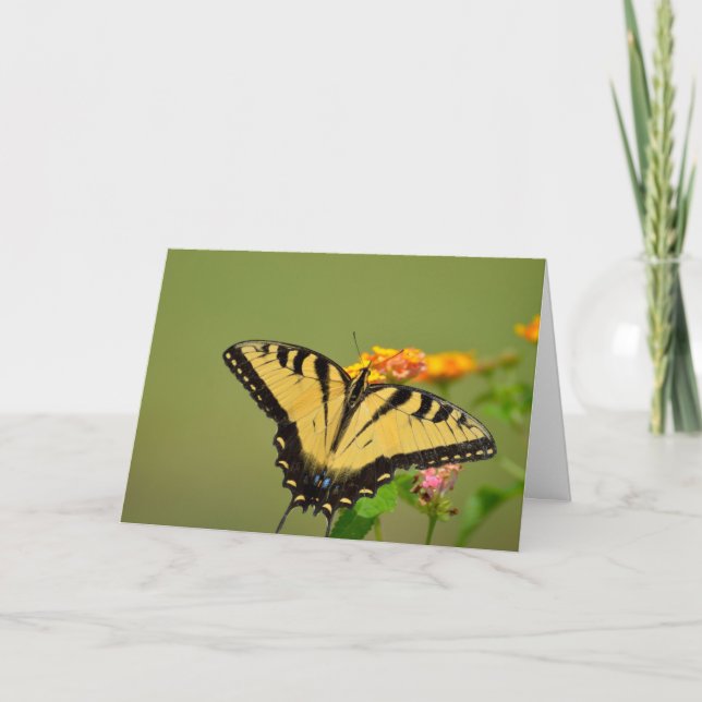Tarjeta Mariposa Notecard (Anverso)